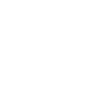 Fiba's Flawless Cleaning Logo
