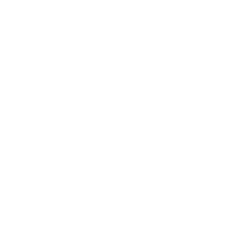 Fiba's Flawless Cleaning Logo